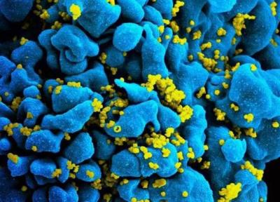 درمان ایدز با یاری یک مولکول نادر